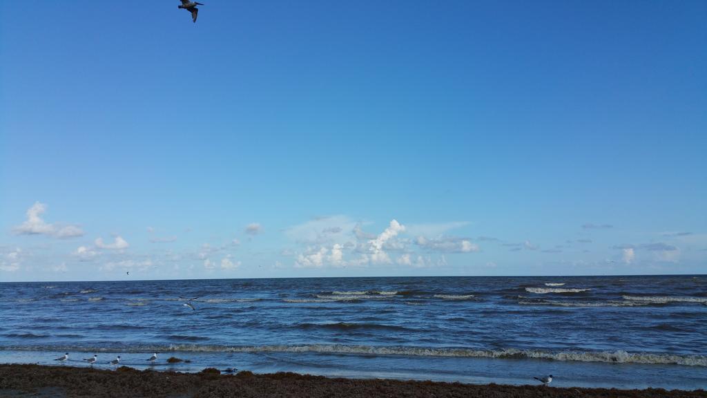 Private Beach -- Away From The Crowds - Ocean Views -Short Drive To Moody Gardens, Schlitter Bahn, Pleasure Pier กาลเวสตัน ภายนอก รูปภาพ